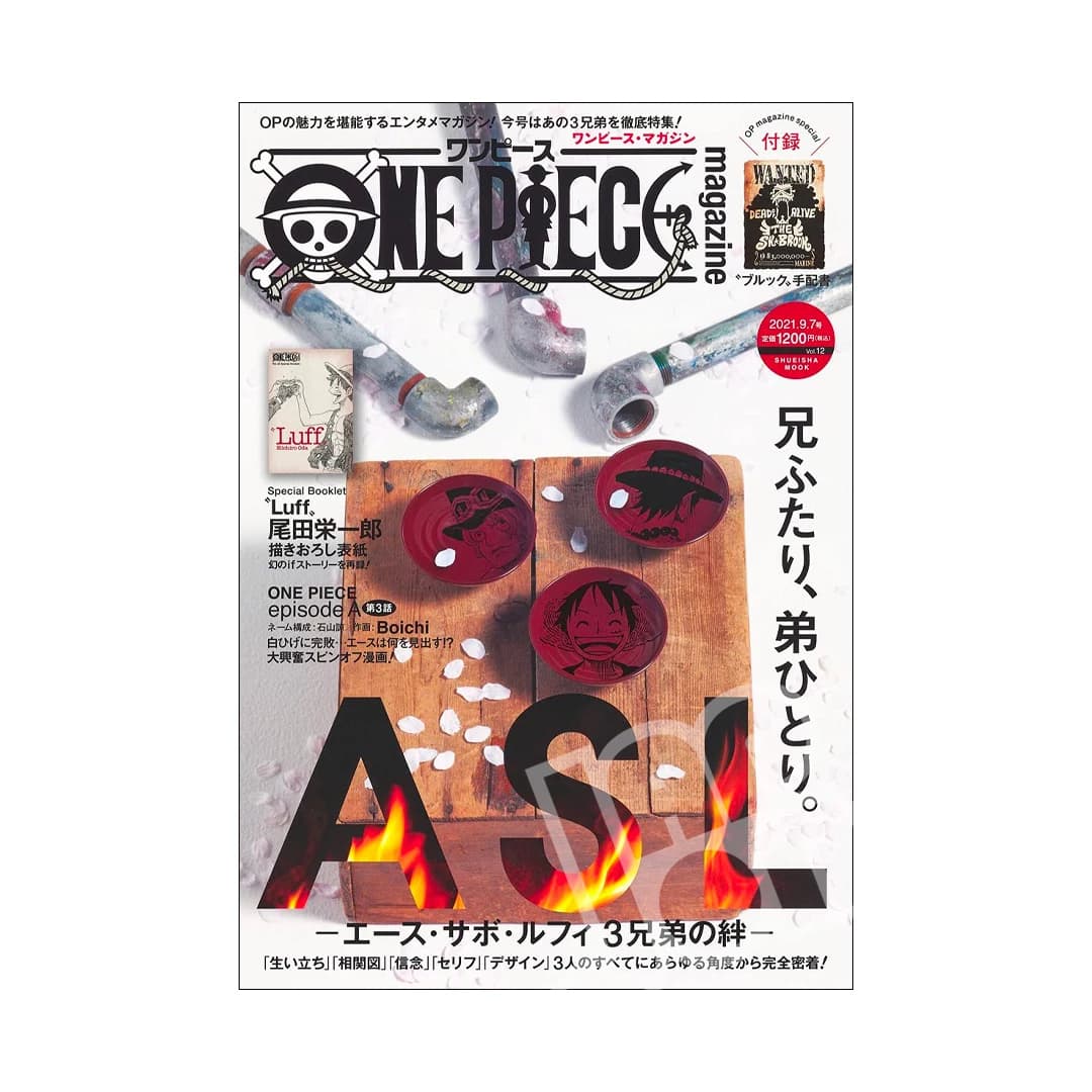 Immagine prodotto di: One Piece Magazine Vol.12 – One Piece Wanted Poster of Brook