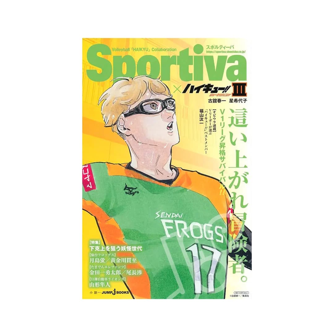 Immagine prodotto di: Haikyuu!! Shosetsuban!! x Sportiva 3 Light Novel – Double Cover