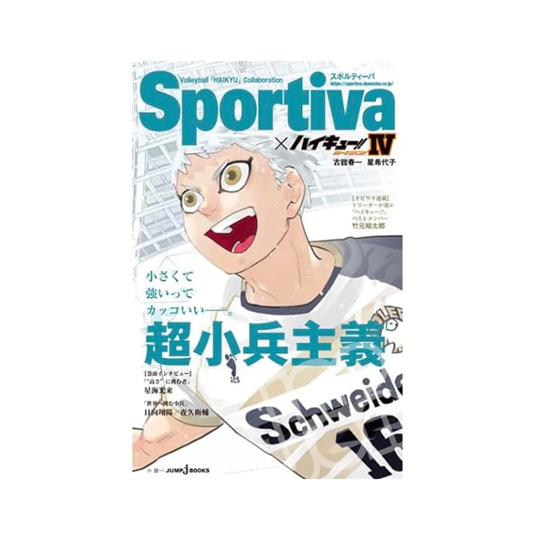 Immagine prodotto di: Haikyuu!! Shosetsuban!! x Sportiva 4 Light Novel – Double Cover