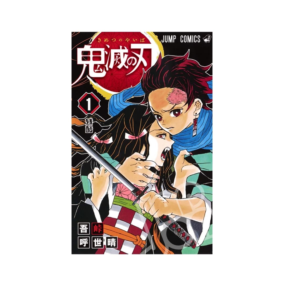 Immagine prodotto di: Demon Slayer 1 – Kimetsu no Yaiba 1