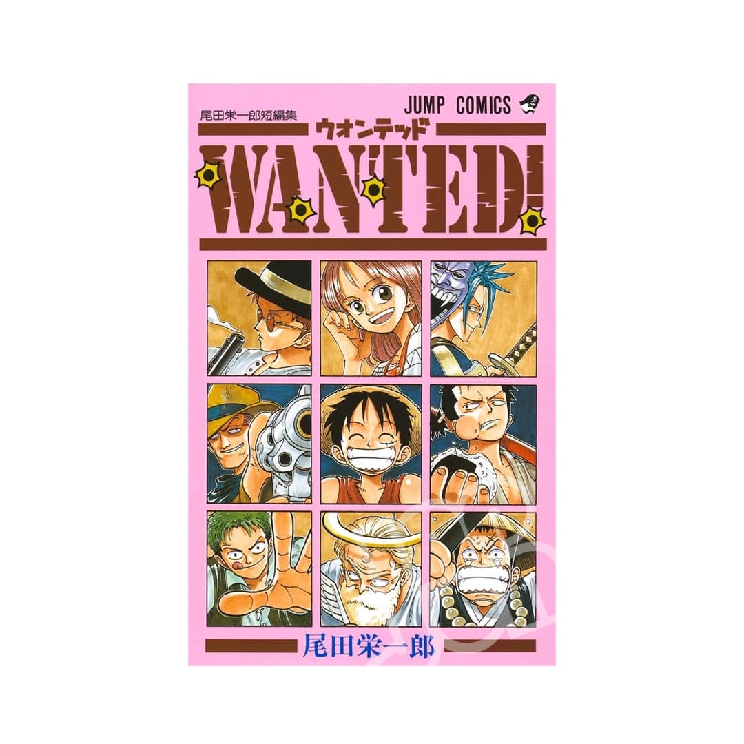 Immagine prodotto di: One Piece Wanted